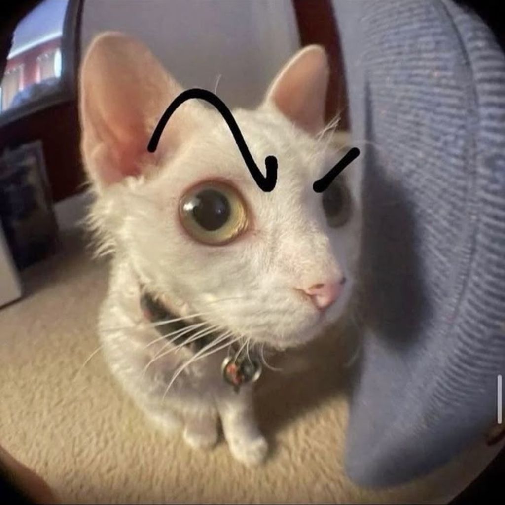 RikuRo RikuRo